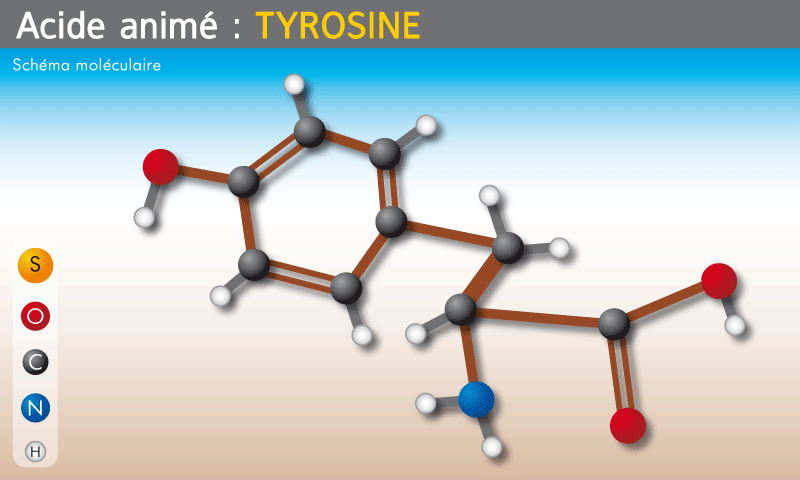 Molecule_Acide-Amine_Tyrosine