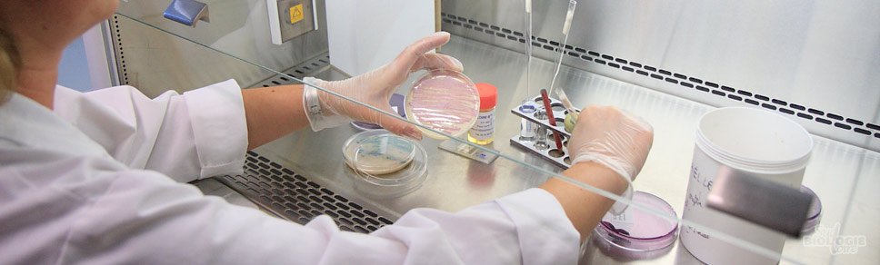 laboratoire-biologie-medicale-test-bacterien