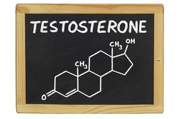 testosterone-lavagna
