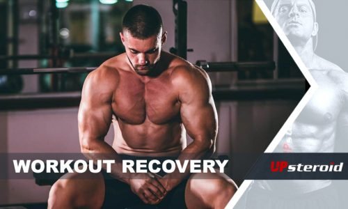 How to recover correctly after training?