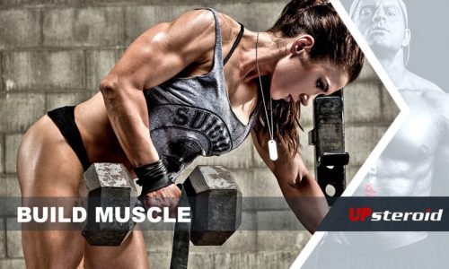 ¿Cómo construyen músculo los esteroides anabólicos?