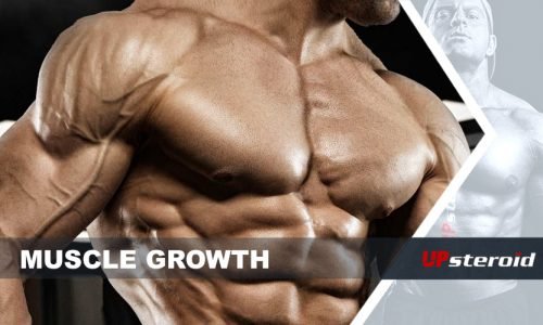 Quais são as melhores dicas para acelerar o crescimento muscular?