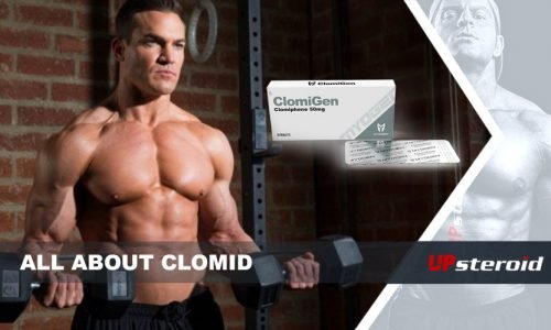 Everything you need to know about Clomid