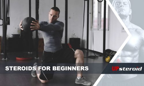 First Steroid Cycle: the Best Steroids For Beginners