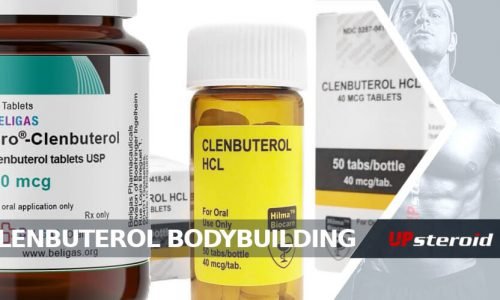Why do bodybuilders use clenbuterol to improve their performance?