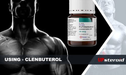 What are the effects of Clenbuterol (CLEN) on your body?