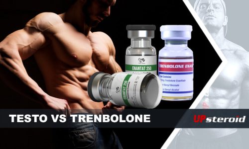 Comparaison entre la testostérone et la trenbolone : Quel stéroïde vous convient le mieux ?