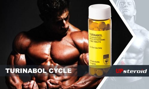Everything you want to know about the Turinabol cycle