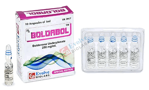 Boldenone Undecylenate (Equipoise) 250mg/ml (10x1ml amps) - Evolve Biolabs