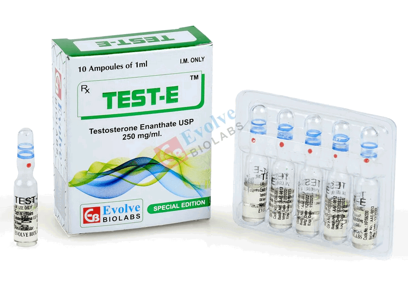 Enantato de Testosterona 250mg/ml (10 ampolas de 1ml) - Evolve Biolabs