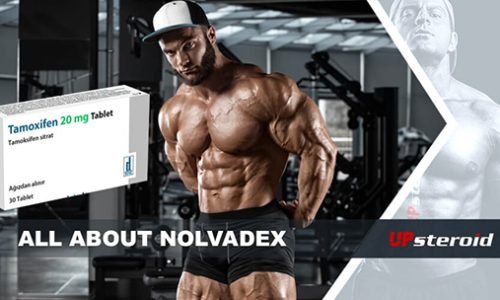 Everything you need to know about Nolvadex