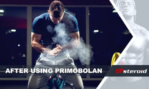 What Bodybuilders Should Expect From a Primobolan Steroid Cycle
