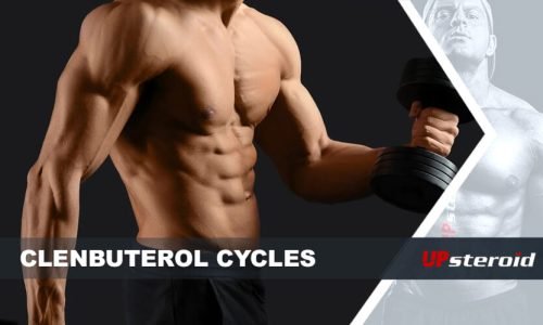 The Pros and Cons of a Standalone Clenbuterol Cycle