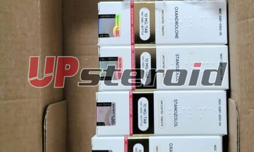 2025 11 01 6905e65f16fff Screenshot 20251019 144833 Gallery