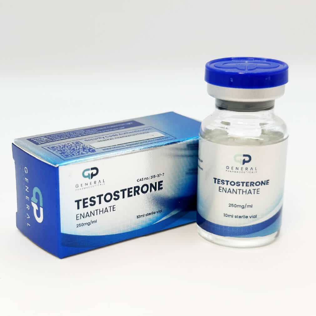 Testosteron Enanthate 250 mg 10 ml - General-Pharma